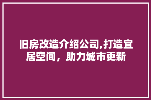 旧房改造介绍公司,打造宜居空间，助力城市更新
