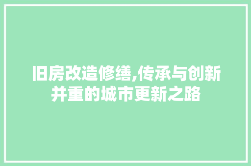 旧房改造修缮,传承与创新并重的城市更新之路