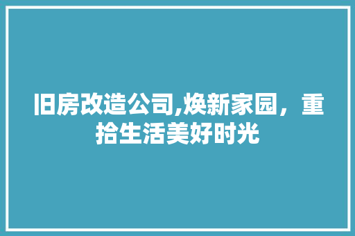 旧房改造公司,焕新家园，重拾生活美好时光