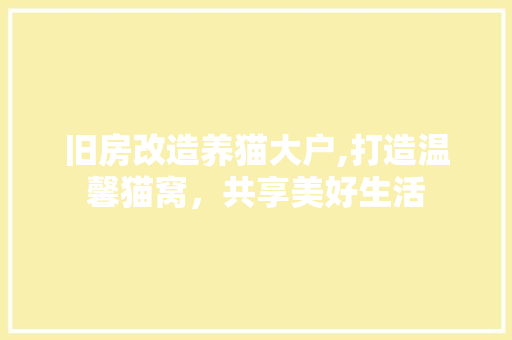 旧房改造养猫大户,打造温馨猫窝，共享美好生活