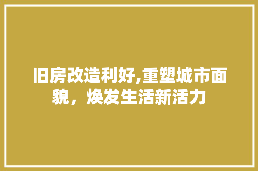 旧房改造利好,重塑城市面貌，焕发生活新活力