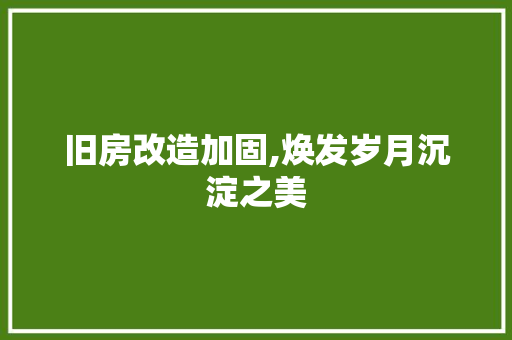 旧房改造加固,焕发岁月沉淀之美