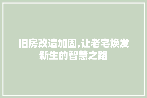 旧房改造加固,让老宅焕发新生的智慧之路