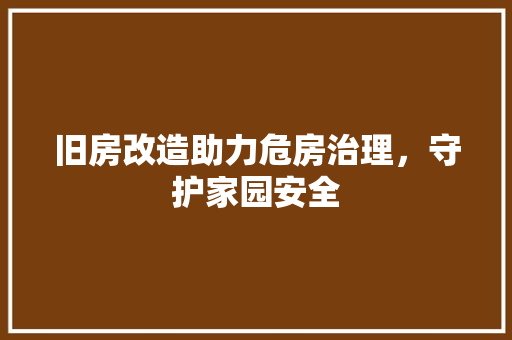 旧房改造助力危房治理，守护家园安全