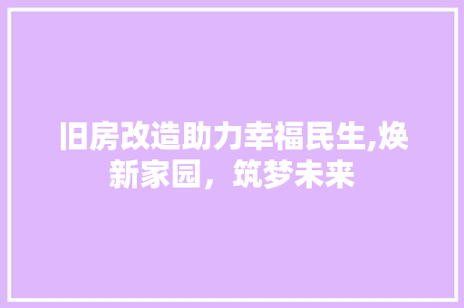 旧房改造助力幸福民生,焕新家园，筑梦未来