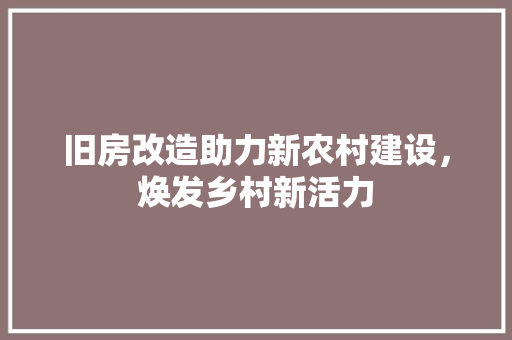 旧房改造助力新农村建设，焕发乡村新活力