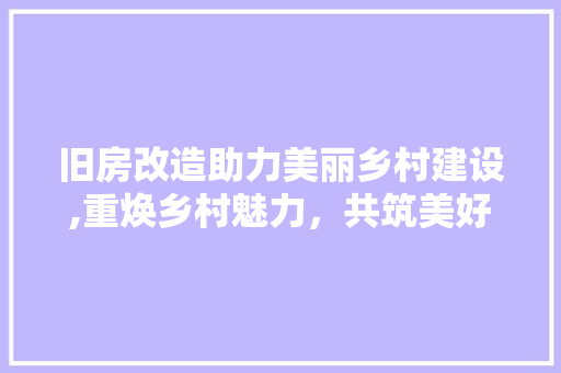 旧房改造助力美丽乡村建设,重焕乡村魅力，共筑美好生活
