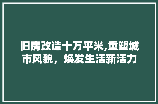 旧房改造十万平米,重塑城市风貌，焕发生活新活力