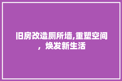 旧房改造厕所墙,重塑空间，焕发新生活