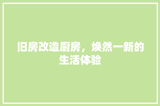 旧房改造厨房，焕然一新的生活体验