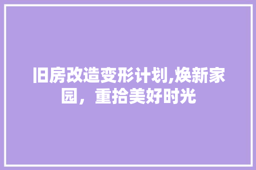 旧房改造变形计划,焕新家园，重拾美好时光