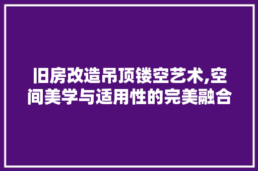 旧房改造吊顶镂空艺术,空间美学与适用性的完美融合