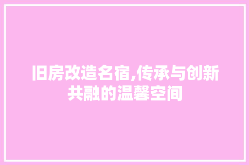 旧房改造名宿,传承与创新共融的温馨空间