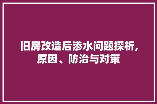 旧房改造后渗水问题探析,原因、防治与对策