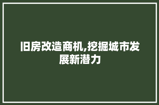 旧房改造商机,挖掘城市发展新潜力