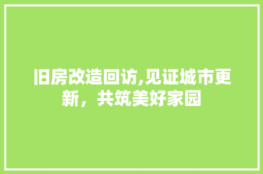 旧房改造回访,见证城市更新，共筑美好家园