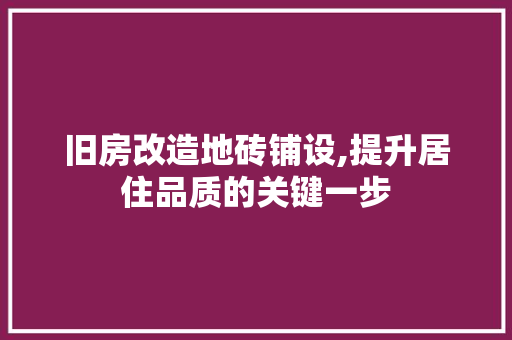 旧房改造地砖铺设,提升居住品质的关键一步