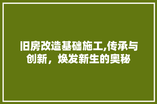 旧房改造基础施工,传承与创新，焕发新生的奥秘