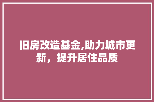 旧房改造基金,助力城市更新，提升居住品质