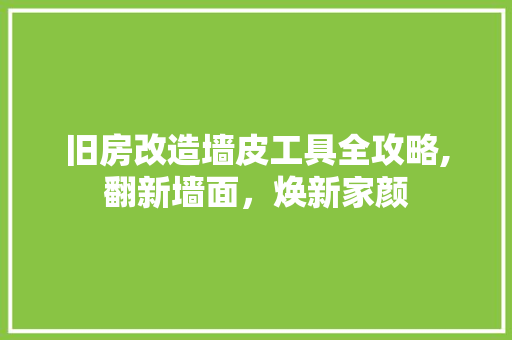 旧房改造墙皮工具全攻略,翻新墙面，焕新家颜 居家维修