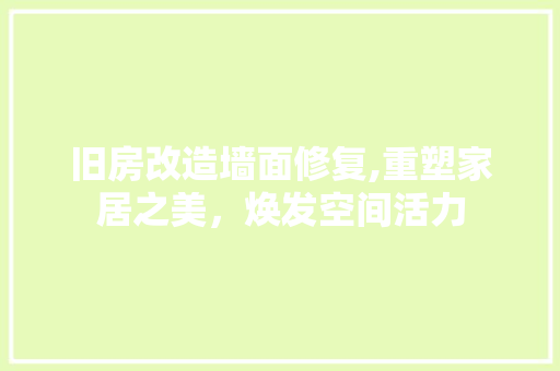 旧房改造墙面修复,重塑家居之美，焕发空间活力