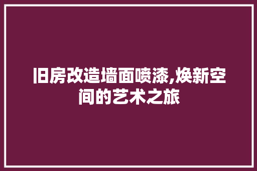旧房改造墙面喷漆,焕新空间的艺术之旅