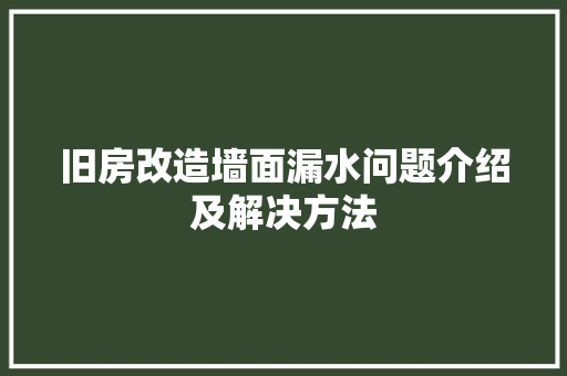 旧房改造墙面漏水问题介绍及解决方法