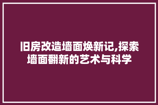 旧房改造墙面焕新记,探索墙面翻新的艺术与科学