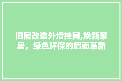 旧房改造外墙挂网,焕新家居，绿色环保的墙面革新