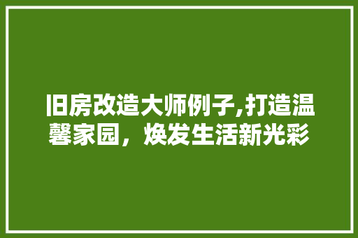 旧房改造大师例子,打造温馨家园，焕发生活新光彩