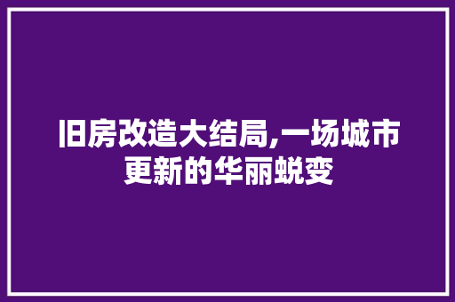 旧房改造大结局,一场城市更新的华丽蜕变
