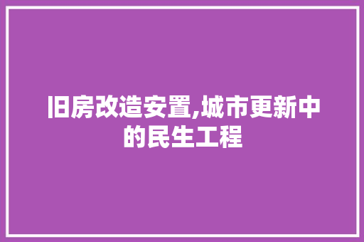 旧房改造安置,城市更新中的民生工程