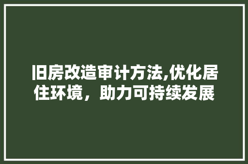 旧房改造审计方法,优化居住环境，助力可持续发展