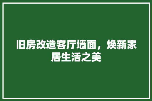 旧房改造客厅墙面，焕新家居生活之美