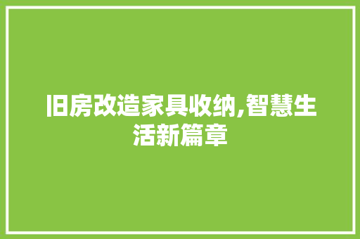 旧房改造家具收纳,智慧生活新篇章 居家维修