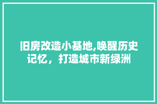 旧房改造小基地,唤醒历史记忆，打造城市新绿洲