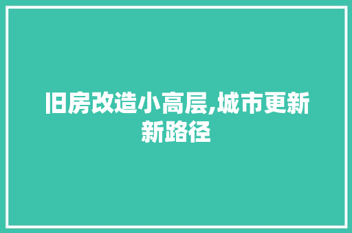 旧房改造小高层,城市更新新路径