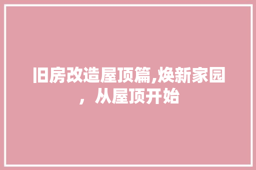 旧房改造屋顶篇,焕新家园，从屋顶开始