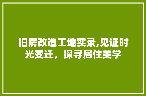 旧房改造工地实录,见证时光变迁，探寻居住美学