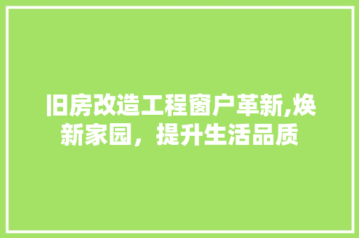 旧房改造工程窗户革新,焕新家园，提升生活品质 墙体维修