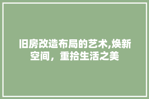 旧房改造布局的艺术,焕新空间，重拾生活之美
