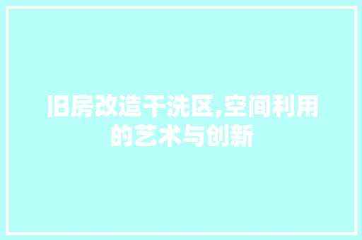 旧房改造干洗区,空间利用的艺术与创新 居家维修