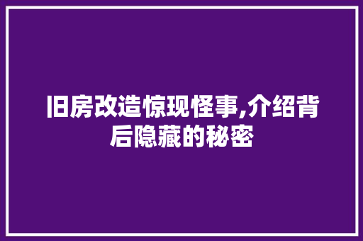 旧房改造惊现怪事,介绍背后隐藏的秘密
