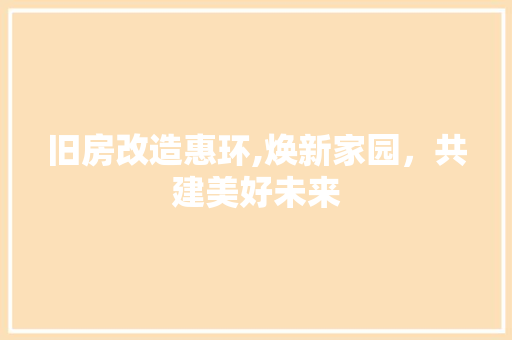 旧房改造惠环,焕新家园，共建美好未来