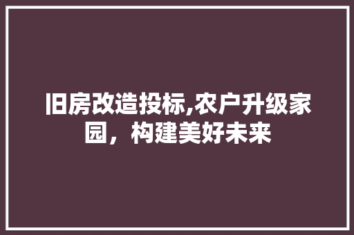 旧房改造投标,农户升级家园，构建美好未来