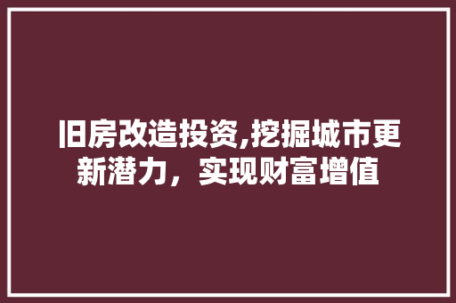 旧房改造投资,挖掘城市更新潜力，实现财富增值