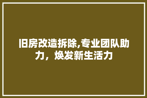 旧房改造拆除,专业团队助力，焕发新生活力
