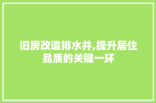 旧房改造排水井,提升居住品质的关键一环