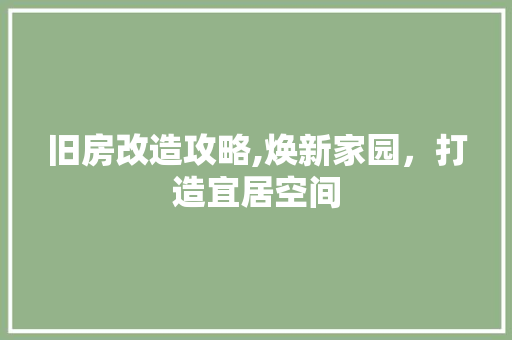 旧房改造攻略,焕新家园，打造宜居空间
