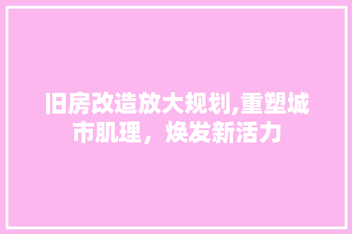 旧房改造放大规划,重塑城市肌理，焕发新活力